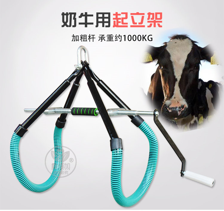 鐗涜搗绔嬫灦A璇︽儏欏?1).jpg 鐗涜搗绔嬫灦A璇︽儏欏?1).jpg